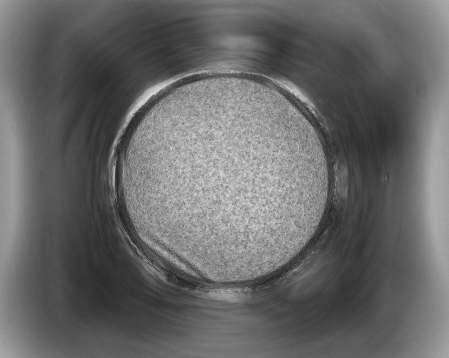 X0000086281078200704262031