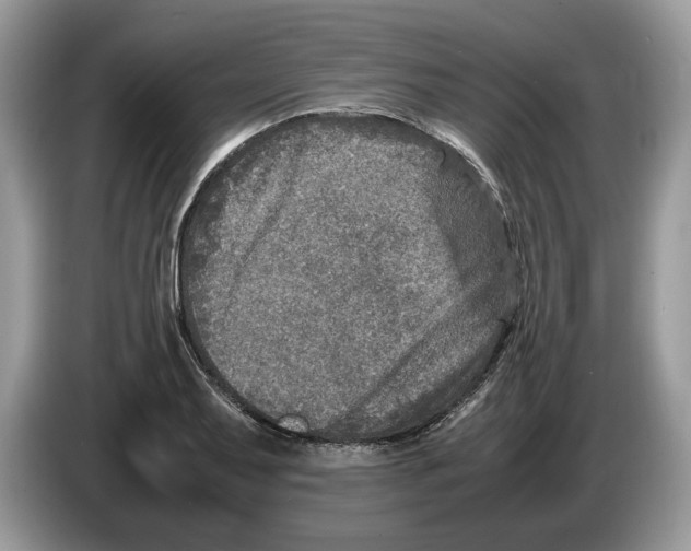 X0000086281079200704262031