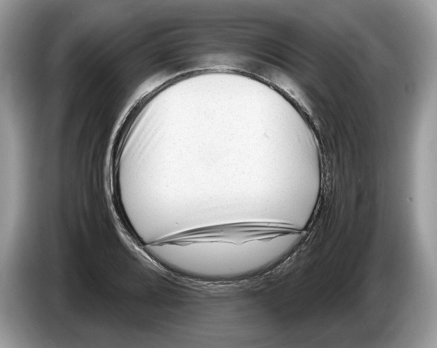 X0000086281080200704262031