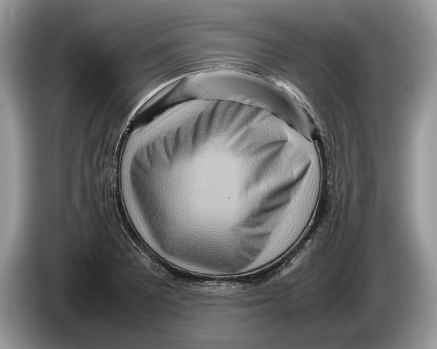 X0000086281081200704262031