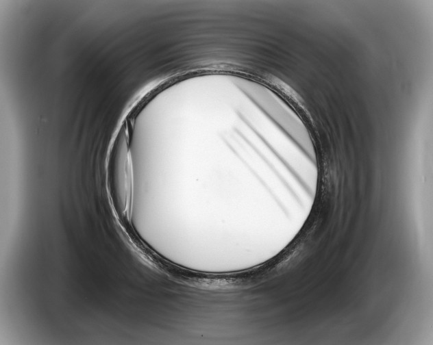 X0000086281082200704262031
