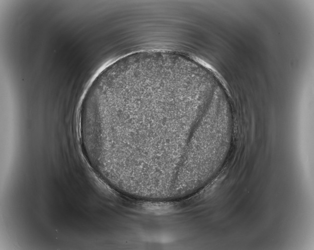 X0000086281083200704262031
