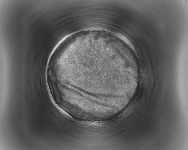 X0000086281084200704262031