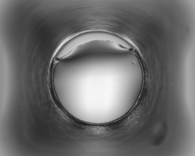 X0000086281085200704262031
