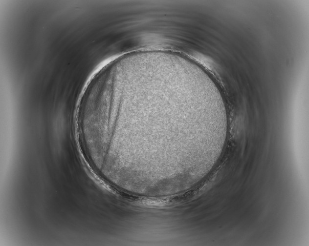 X0000086281086200704262031