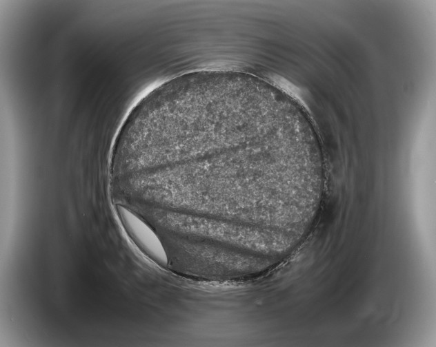 X0000086281087200704262031