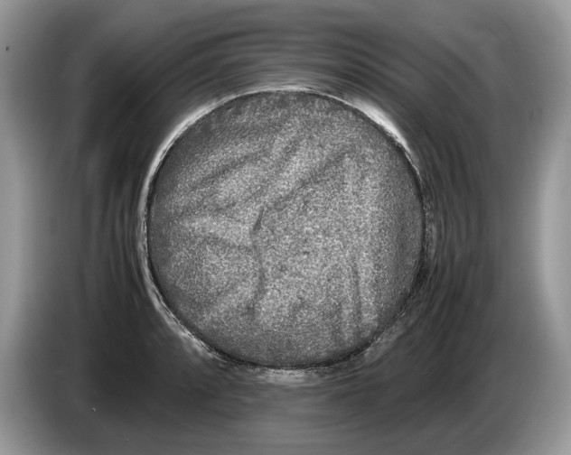 X0000086281088200704262031