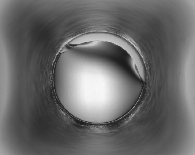 X0000086281089200704262031