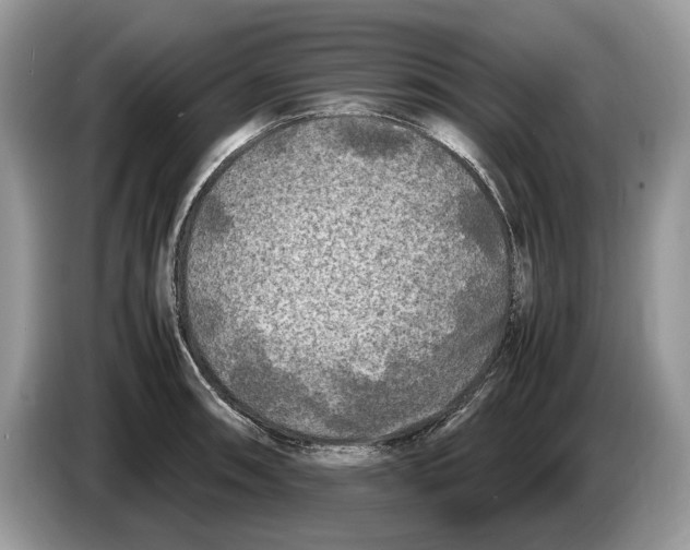 X0000086281090200704262031