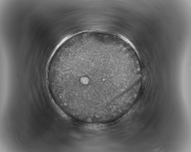 X0000086281091200704262031