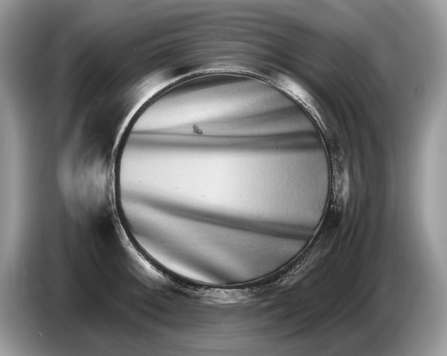 X0000086281092200704262031