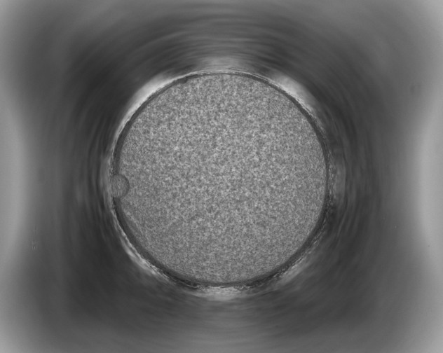 X0000086281094200704262031