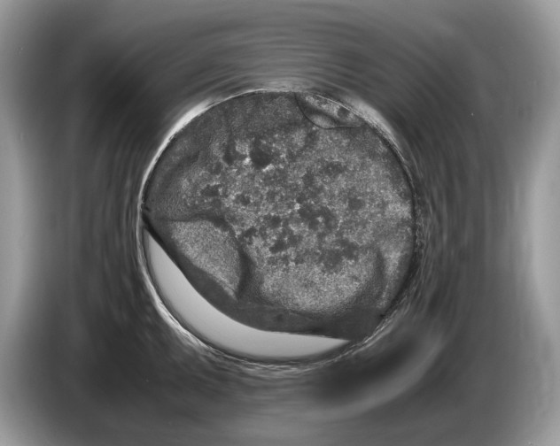 X0000086281095200704262031