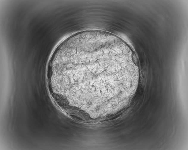 X0000086281096200704262031