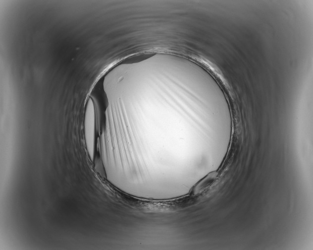X0000086281097200704262031