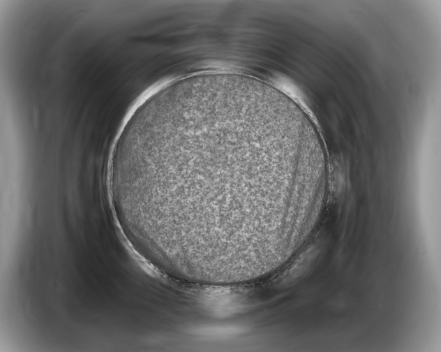 X0000086281098200704262031