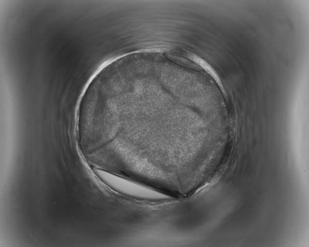 X0000086281099200704262031
