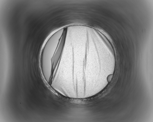 X0000086281104200704262031