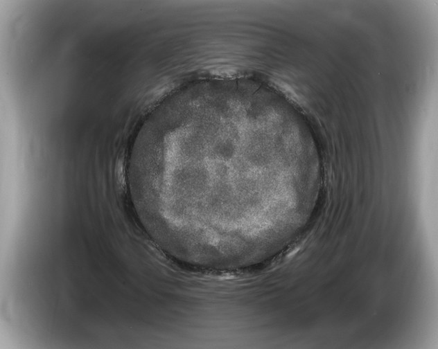 X0000086281106200704262030