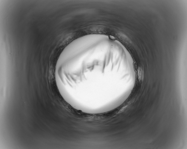 X0000086281107200704262030