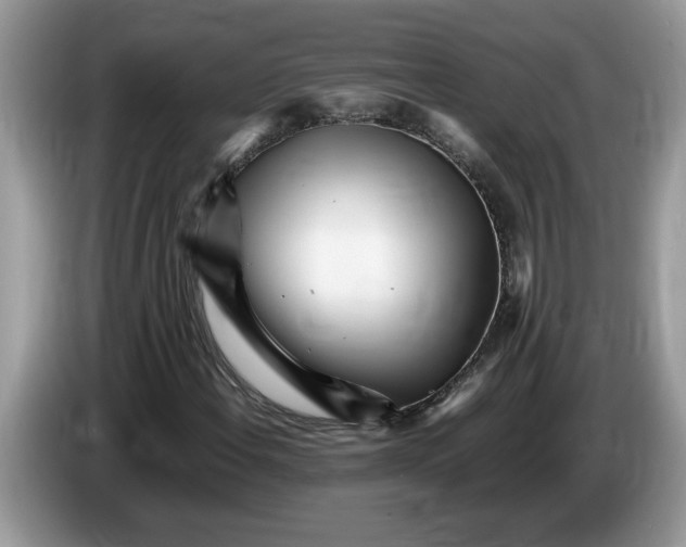 X0000086281108200704262030