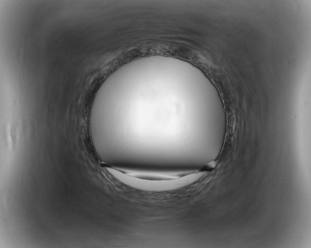 X0000086281109200704262030