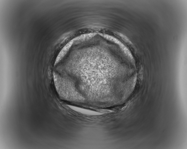 X0000086281110200704262031