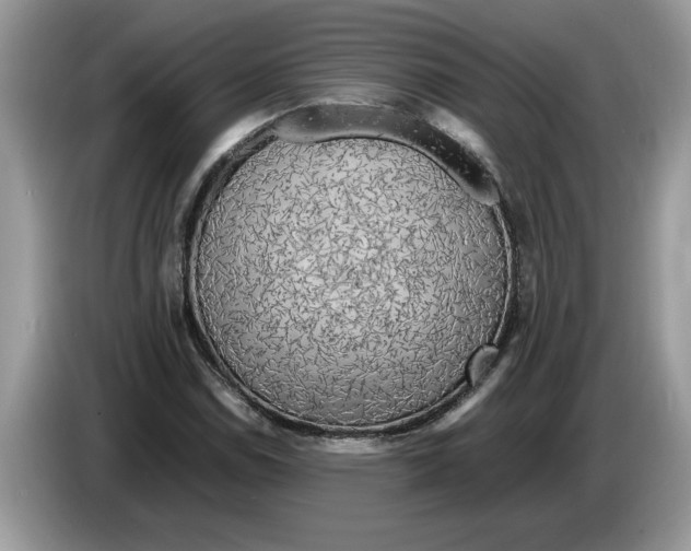 X0000086281114200704262031