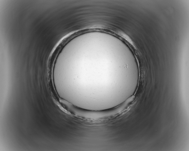 X0000086281116200704262031