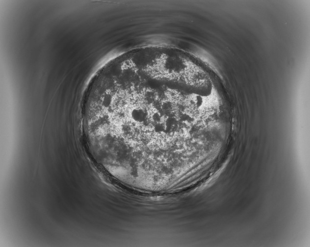 X0000086281117200704262031