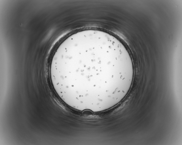 X0000086281119200704262031