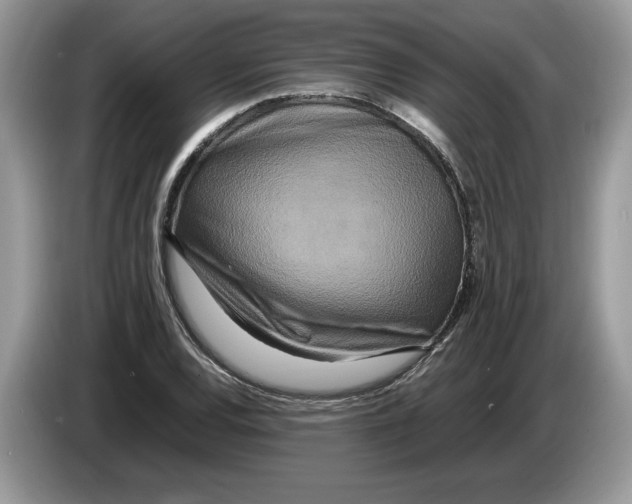 X0000086281120200704262031