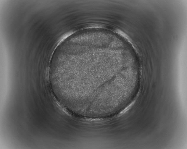 X0000086281121200704262031