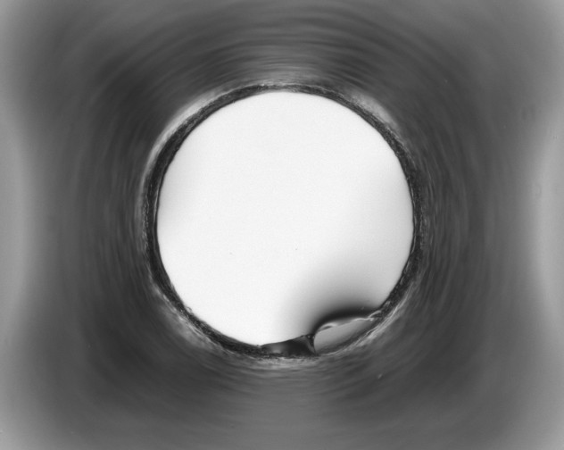X0000086281122200704262031