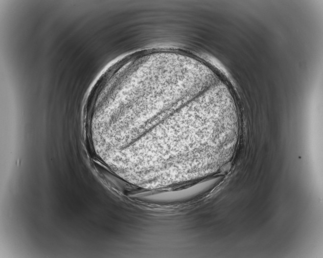 X0000086281124200704262031
