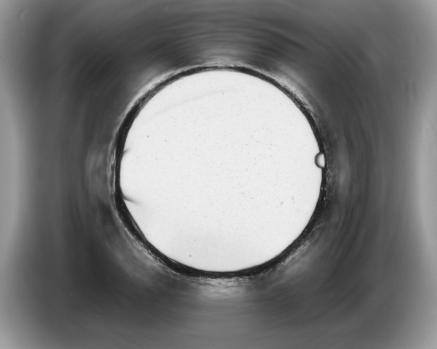 X0000086281126200704262031