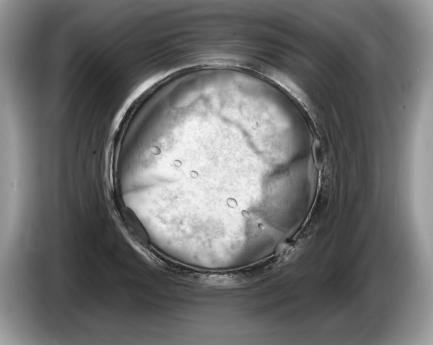X0000086281128200704262031