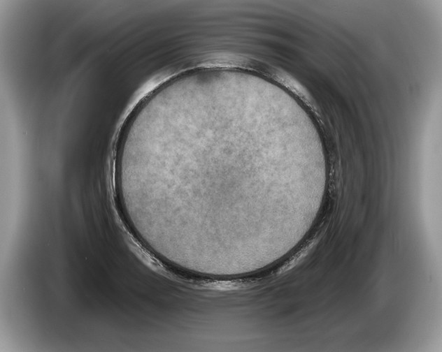 X0000086281130200704262031