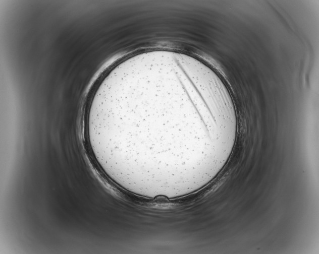 X0000086281131200704262031
