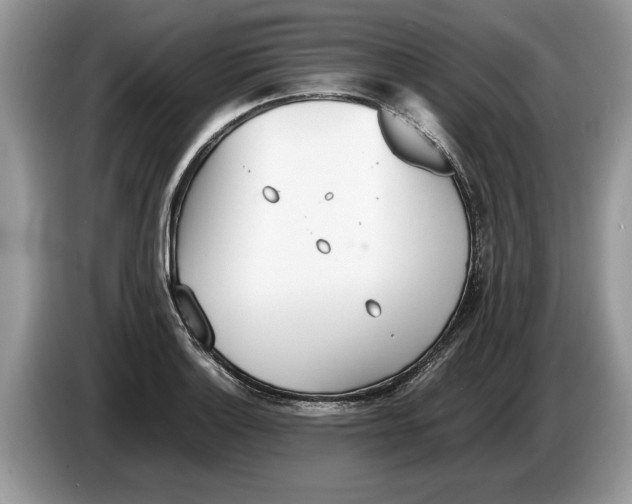 X0000086281132200704262031