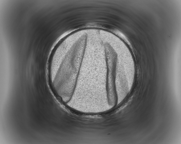 X0000086281133200704262031