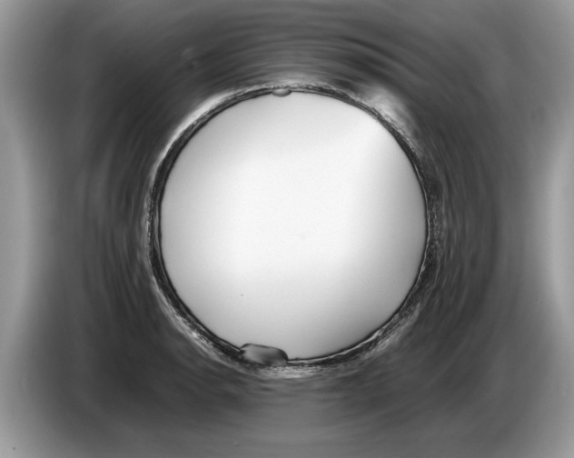 X0000086281134200704262031