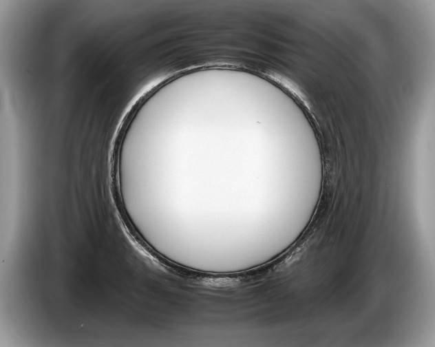 X0000086281135200704262031