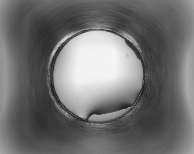 X0000086281136200704262031