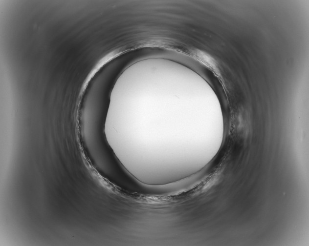 X0000086281138200704262031
