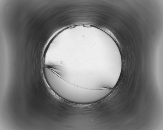 X0000086281140200704262031