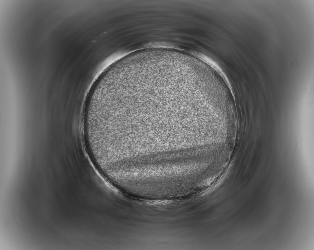 X0000086281141200704262031