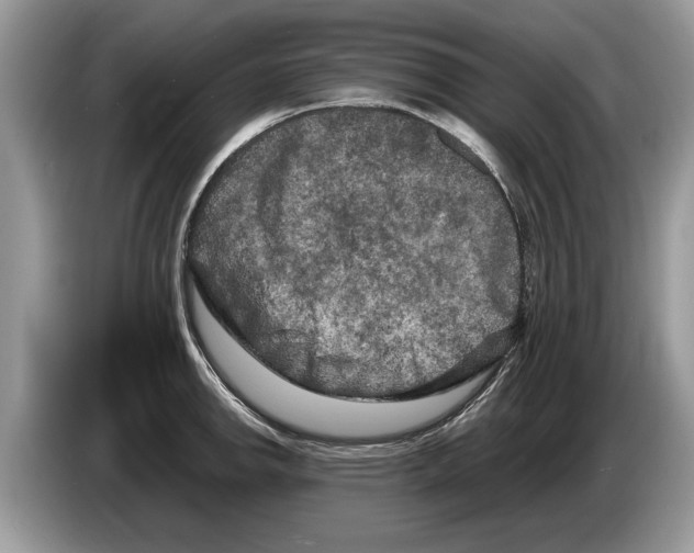 X0000086281142200704262031