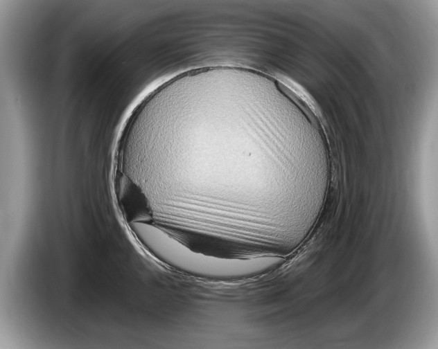 X0000086281144200704262031