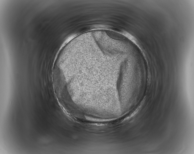 X0000086281145200704262031